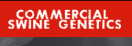 Commercial Swine Genetics